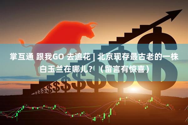 掌互通 跟我GO 去追花 | 北京现存最古老的一株白玉兰在哪儿？（留言有惊喜）
