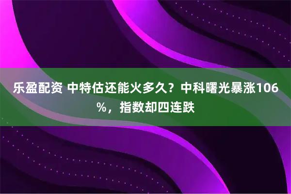 乐盈配资 中特估还能火多久？中科曙光暴涨106%，指数却四连跌